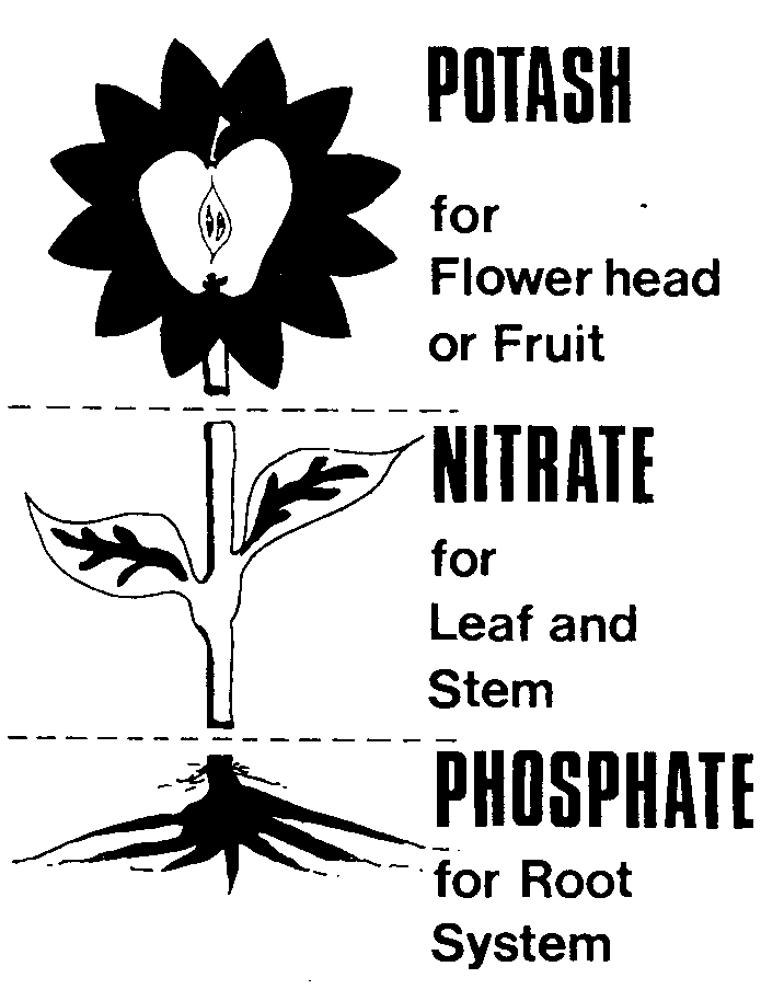 What is NPK?